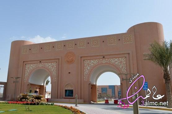 طريقة تسجيل الدخول إلى جامعة الملك فيصل بوابة القبول