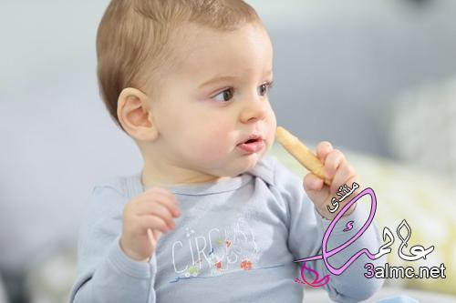 7 أفكار لوجبات طعام طفل في عمر 8 أشهر 3almik.com_09_22_164