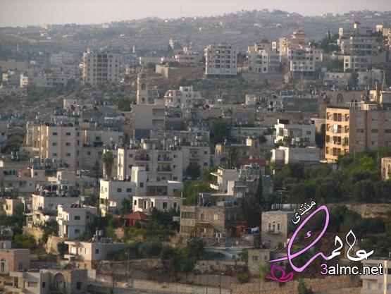 أهم المعلومات حول مدينة بيت جالا 3almik.com_12_22_164