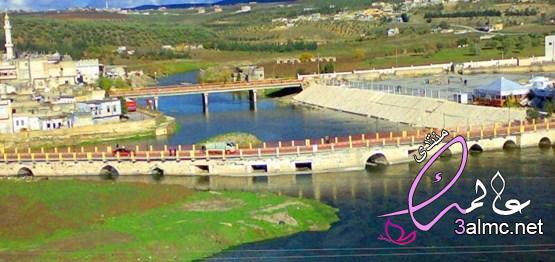 أهم المعلومات حول مدينة جسر الشغور