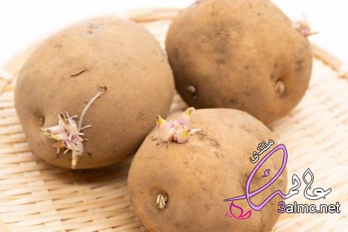 6 نصائح لمنع البطاطس من الإنبات 3almik.com_15_22_165