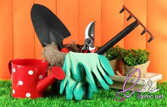 كيفية تنظيف وصيانة أدوات حديقتك بشكل صحيح 3almik.com_20_23_168