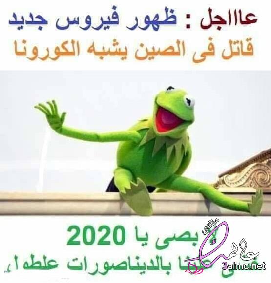  100     2022   