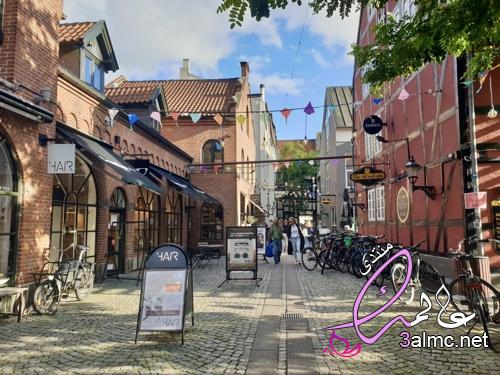 أجمل مدن الدنمارك .. والمسافات بينها