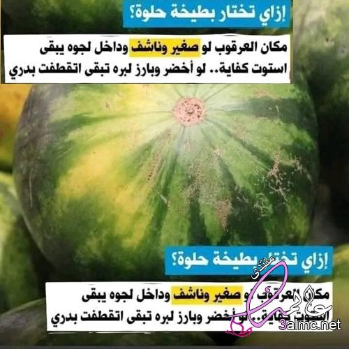 فن شراء البطيخ خلاص ملكوش حجج