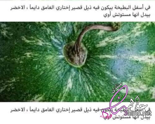 فن شراء البطيخ خلاص ملكوش حجج 3almik.com_23_22_165