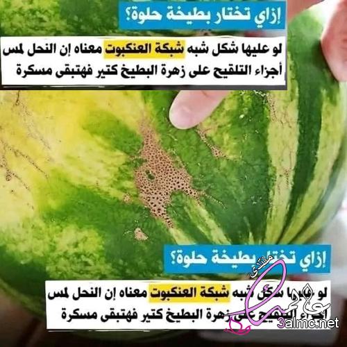 فن شراء البطيخ خلاص ملكوش حجج