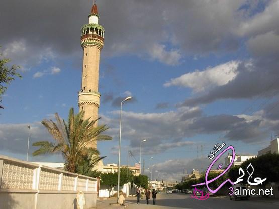 أهم المعلومات حول مدينة جمال التونسية 3almik.com_30_22_164